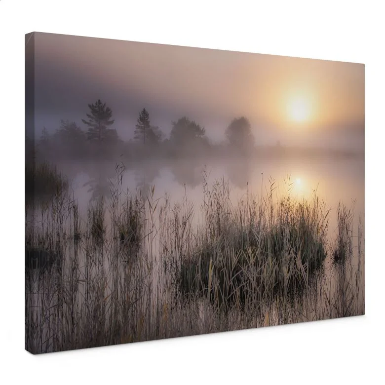 wall-art-1425275