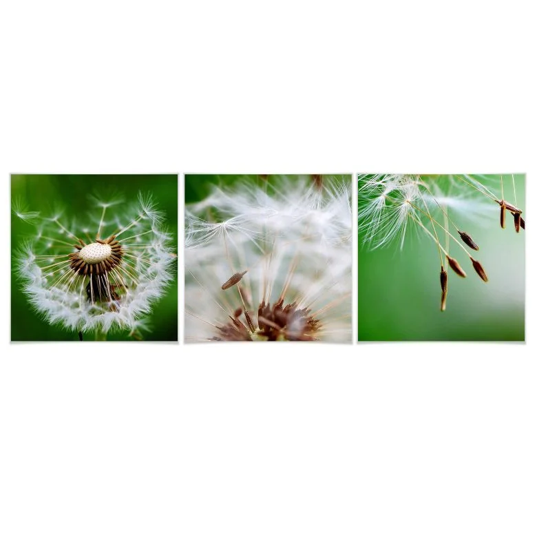 wall-art-1425444