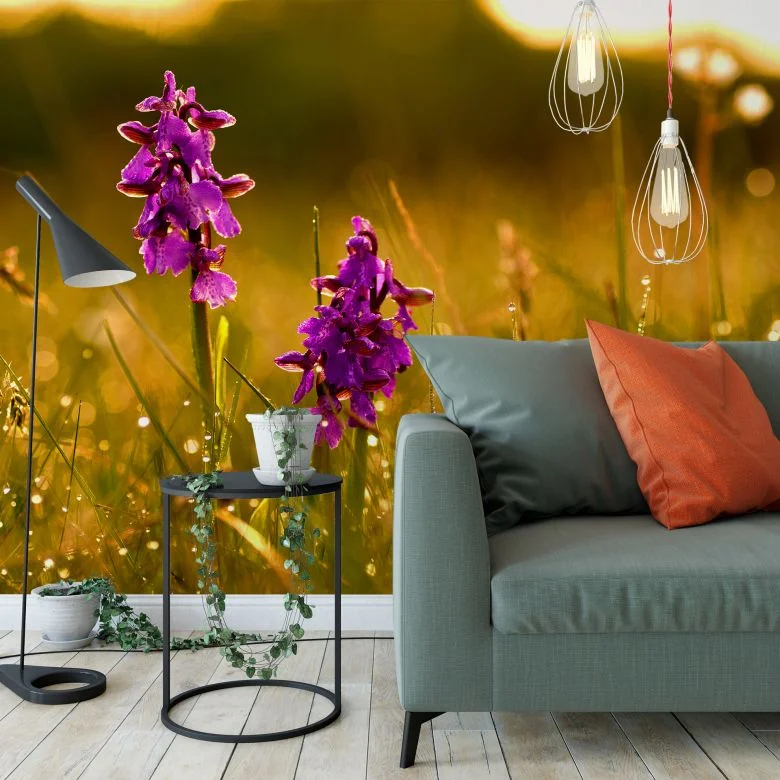 wall-art-1425768