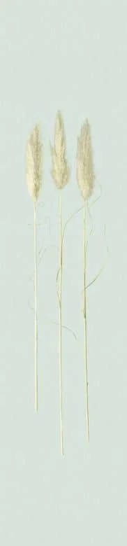 wall-art-1425848