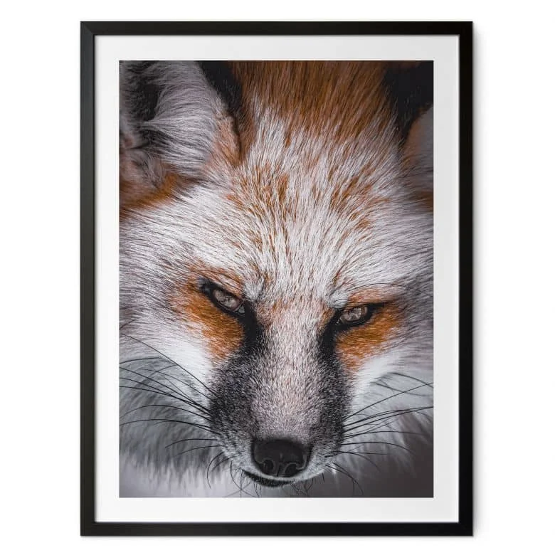 wall-art-1426551