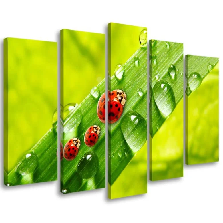 wall-art-1426877