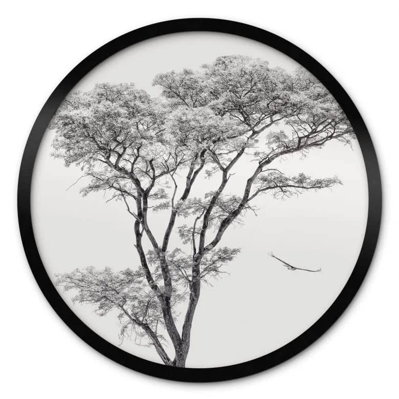 wall-art-1426906
