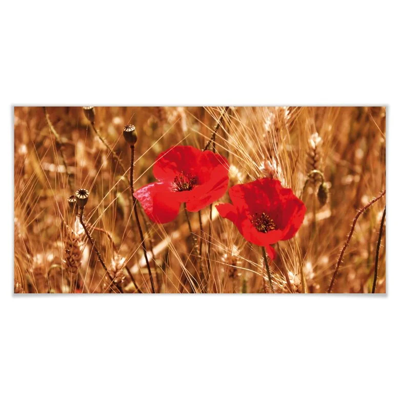 wall-art-1427451