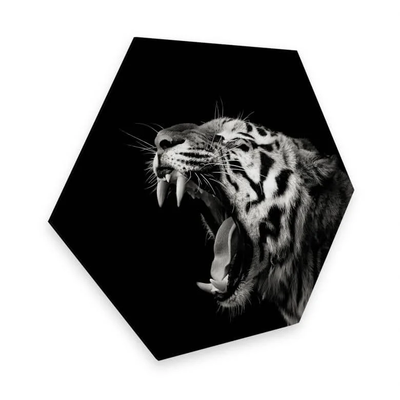 wall-art-1427822