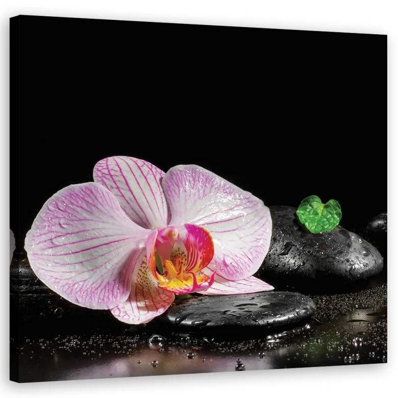 wall-art-1428418