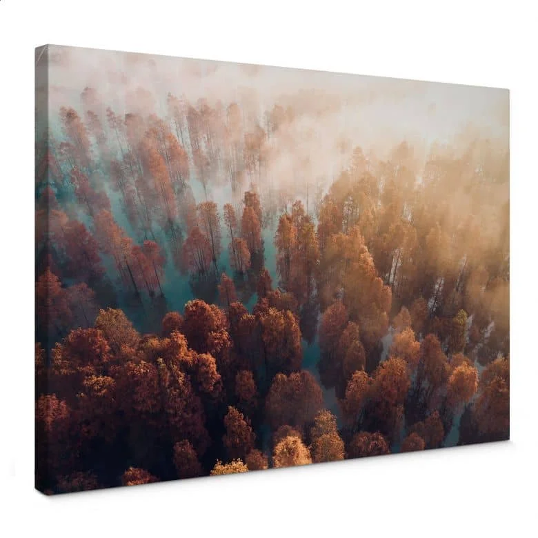 wall-art-1428847