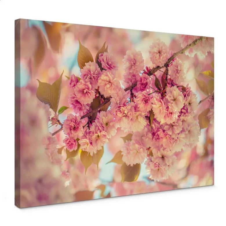 wall-art-1429053