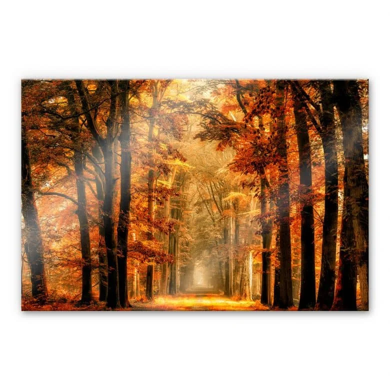 wall-art-1429468