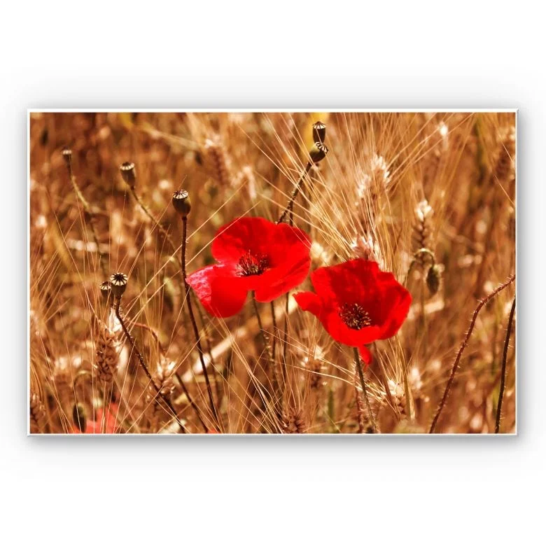 wall-art-1429897
