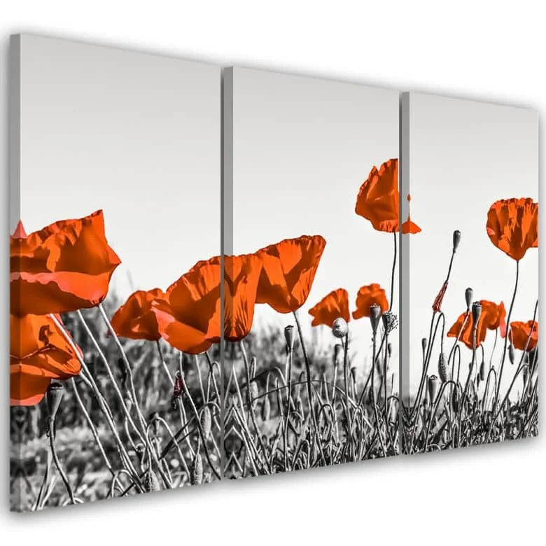 wall-art-1430937