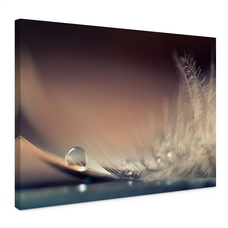 wall-art-1432227