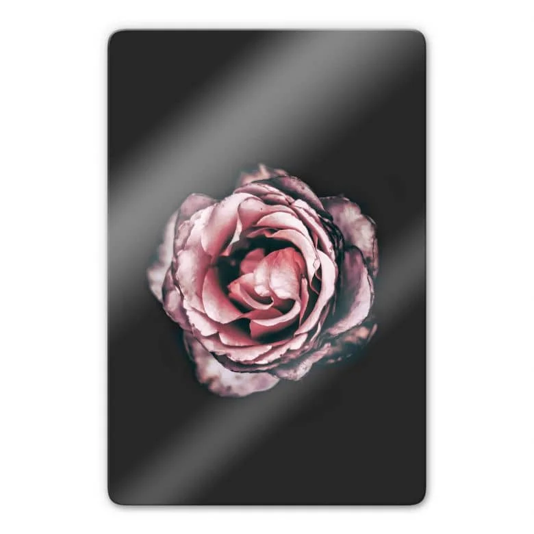 wall-art-1432648