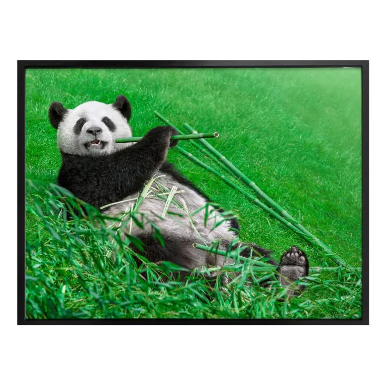 wall-art-1433227
