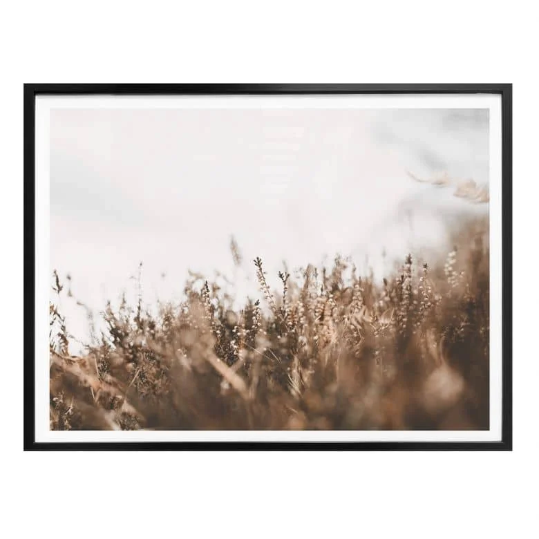 wall-art-1433552