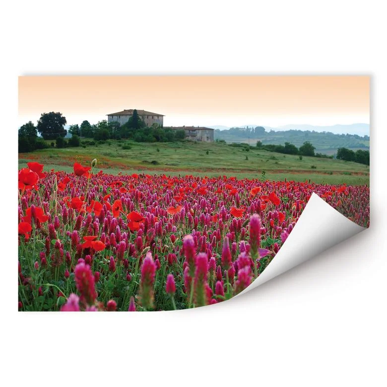 wall-art-1433582
