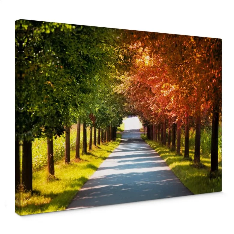 wall-art-1433852