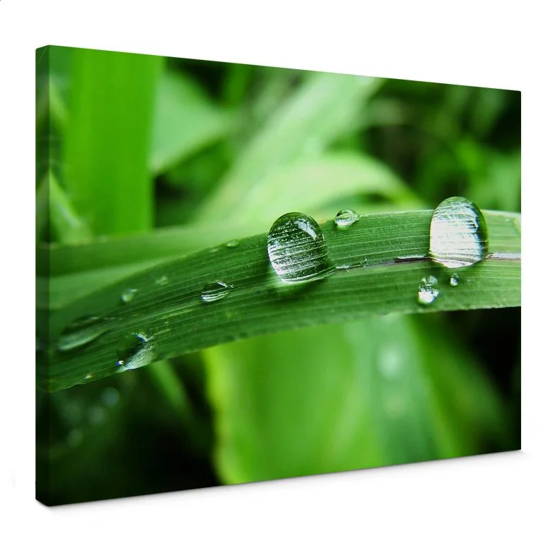 wall-art-1435781