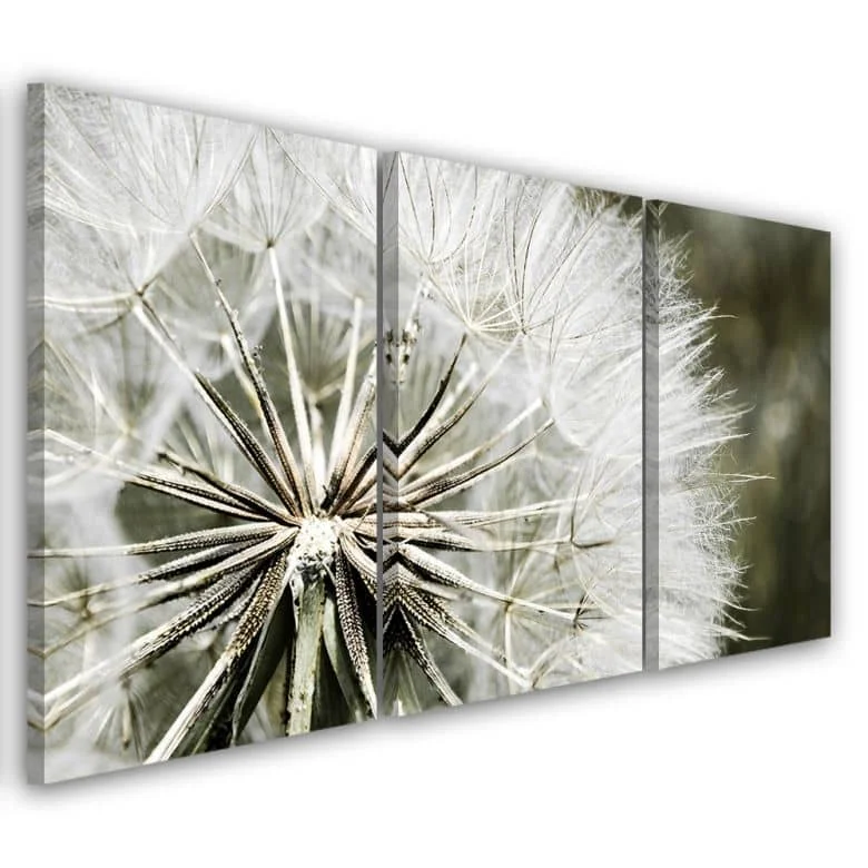 wall-art-1436691