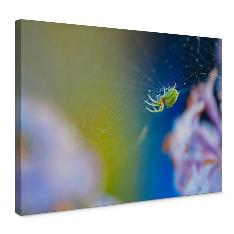 wall-art-1436829