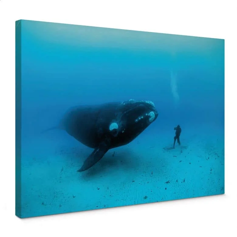 wall-art-1436870
