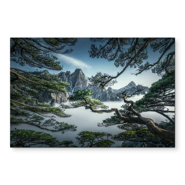 wall-art-1437088