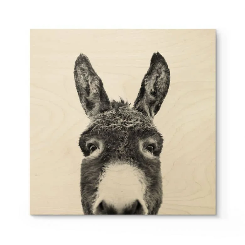 wall-art-1437320