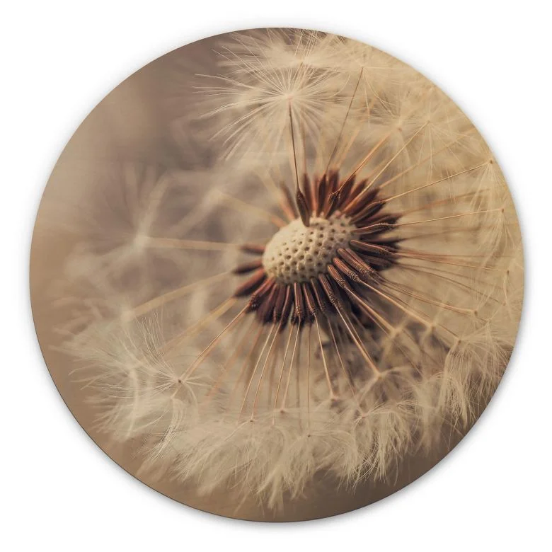 wall-art-1437469