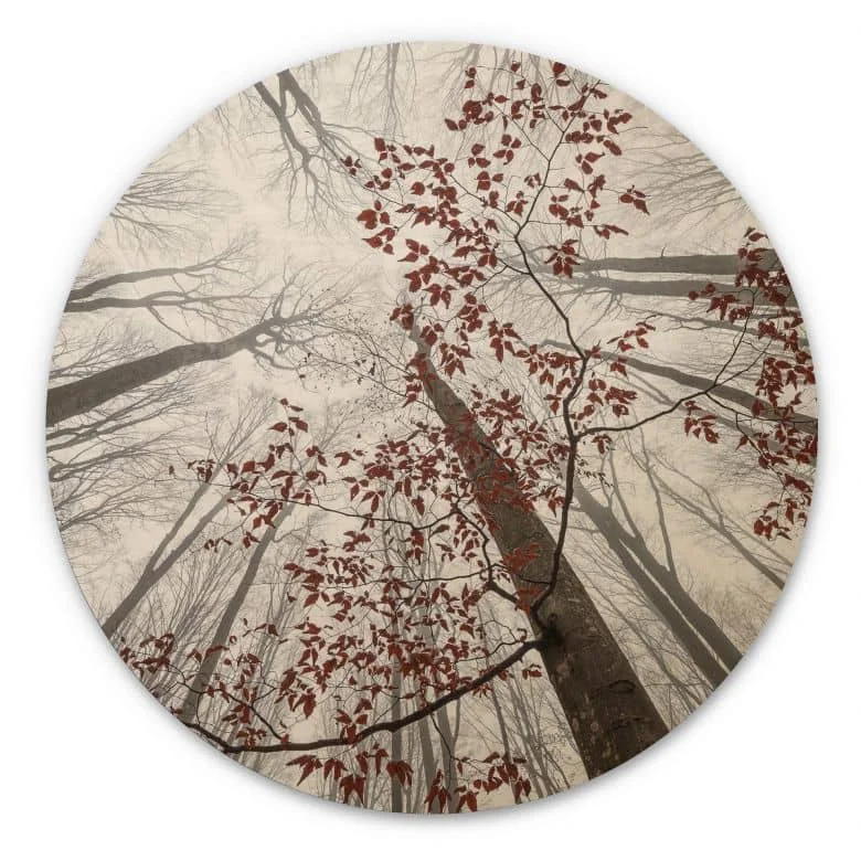 wall-art-1437613