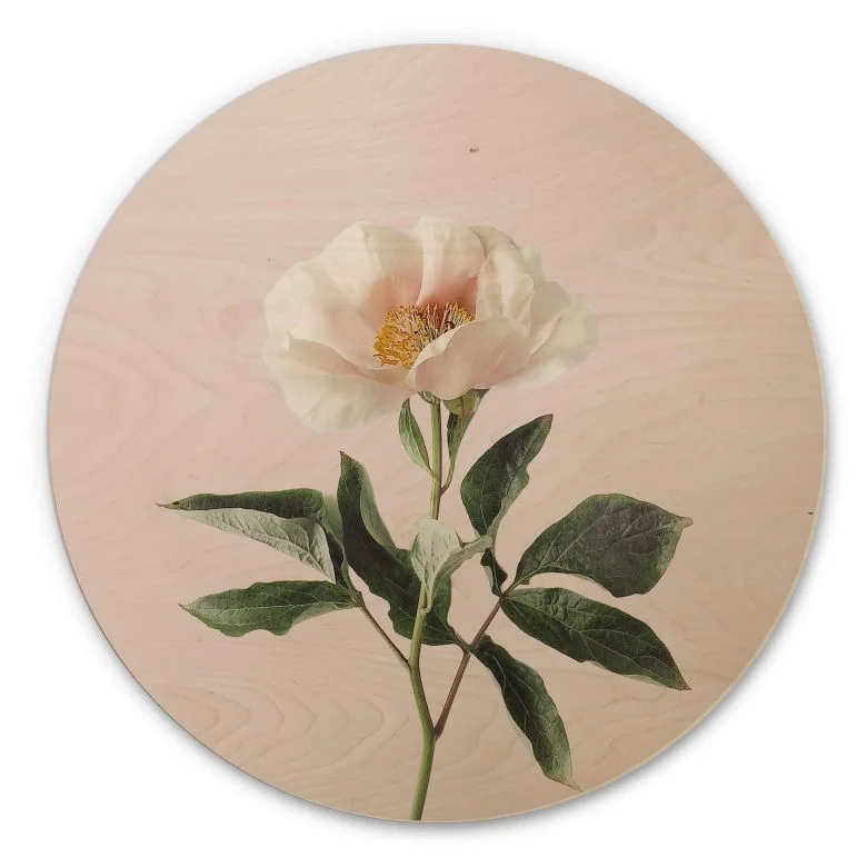 wall-art-1438370
