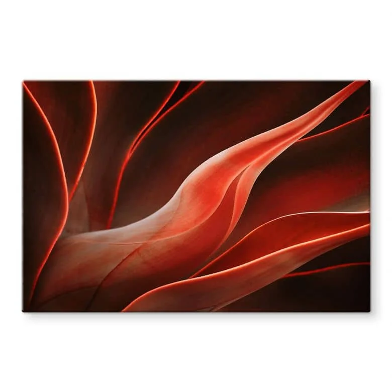 wall-art-1438378