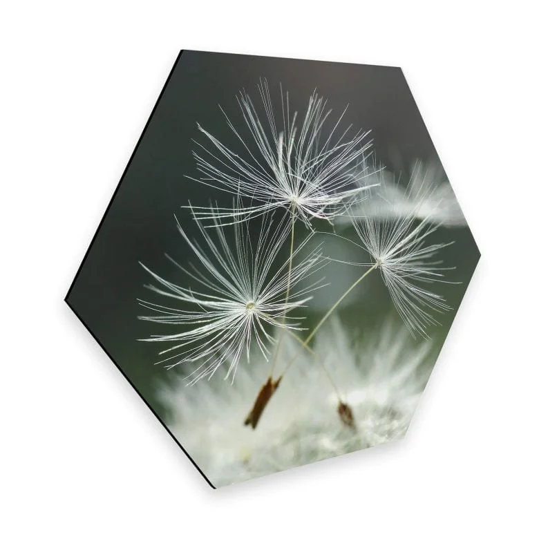 wall-art-1438530