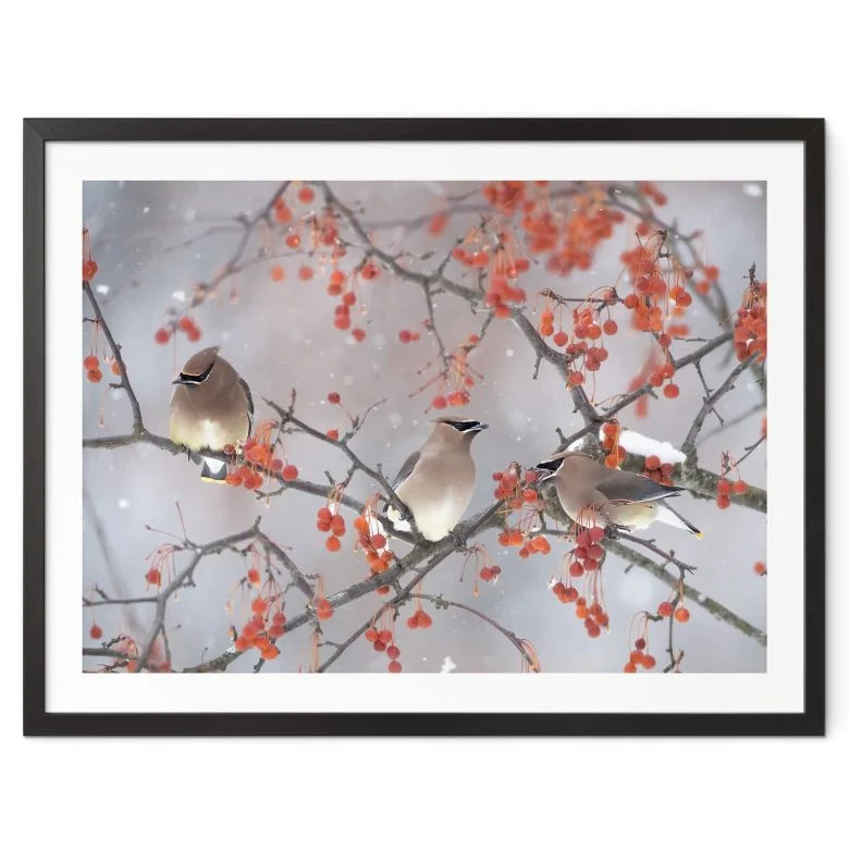wall-art-1438604