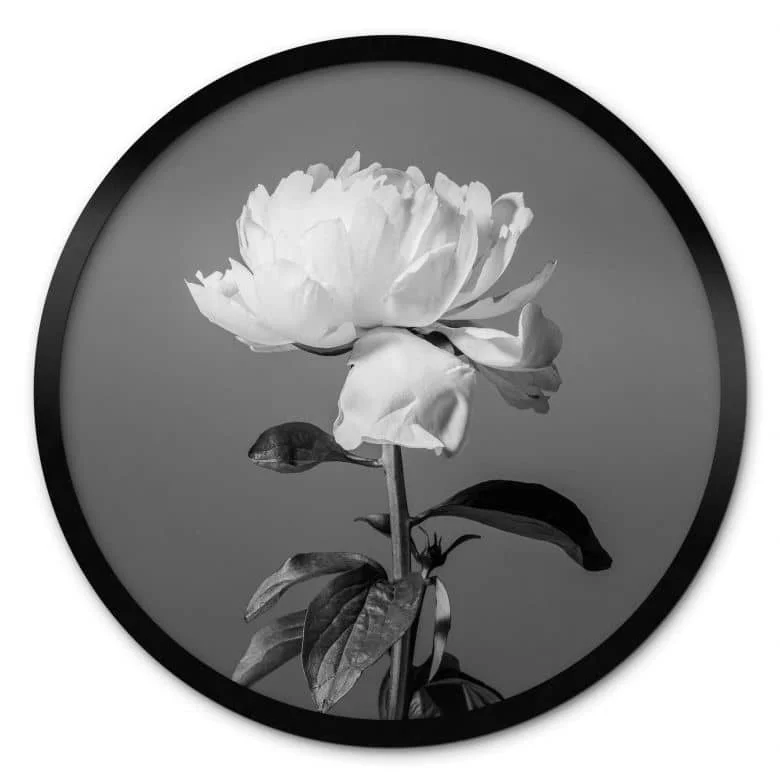 wall-art-1439102