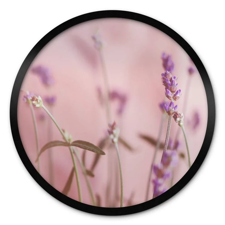 wall-art-1439103