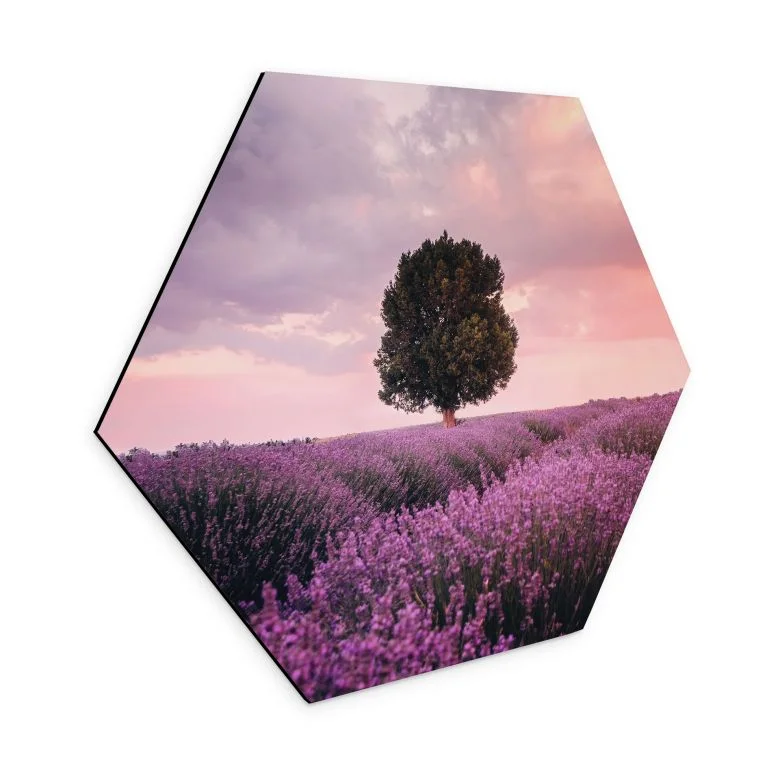 wall-art-1439256