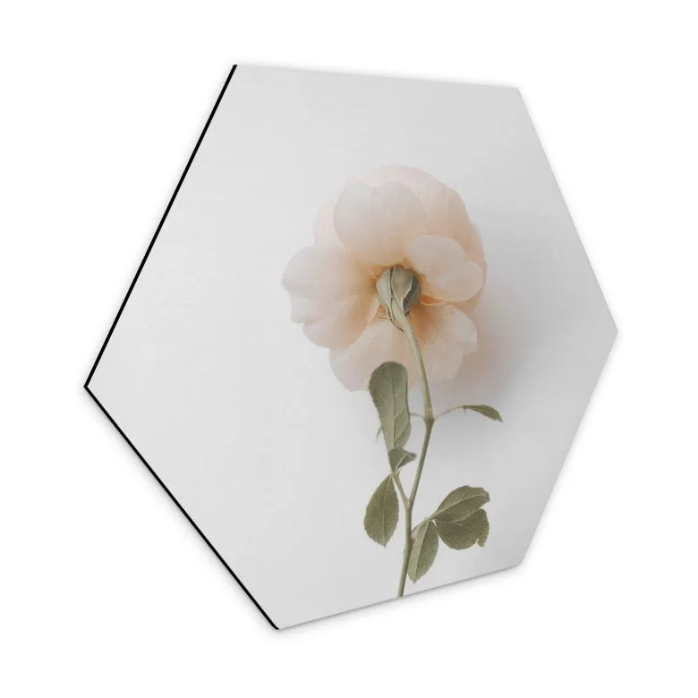 wall-art-1440070