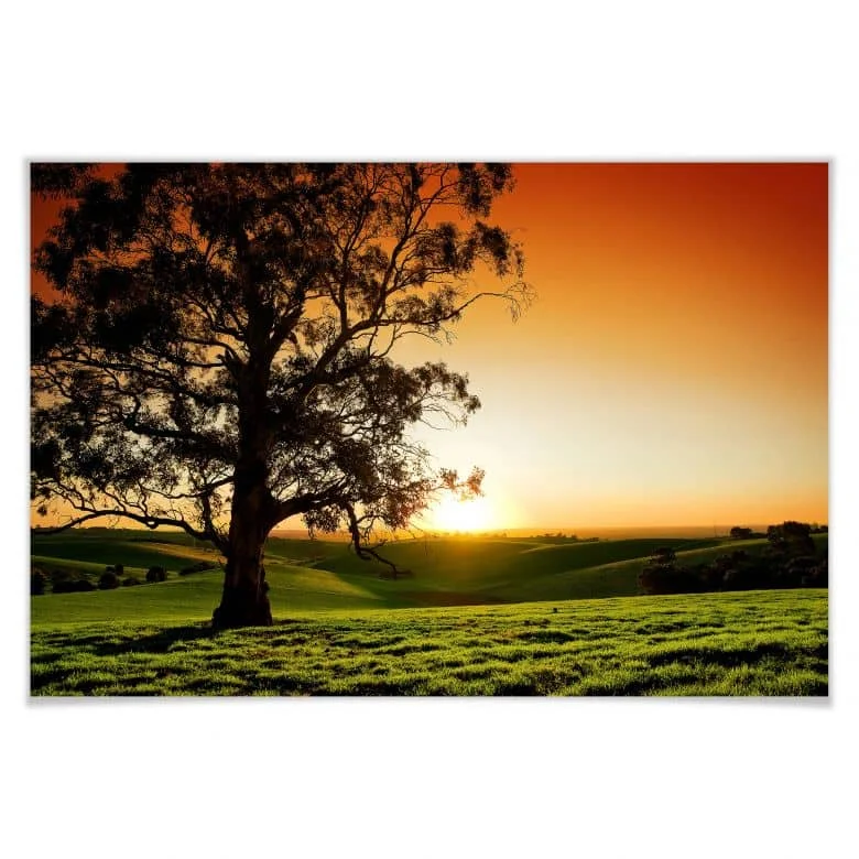 wall-art-1440699