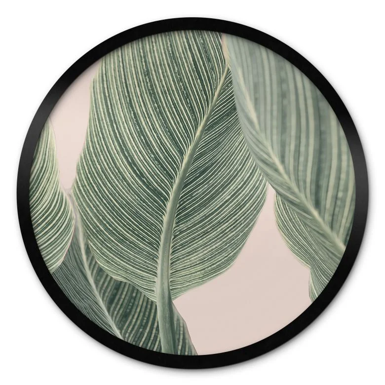 wall-art-1441273