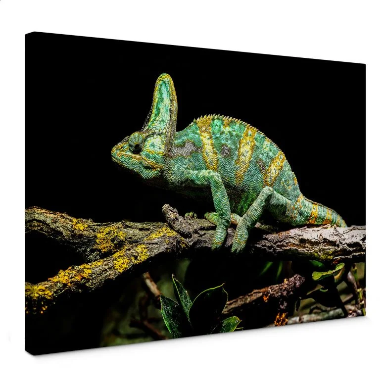 wall-art-1442043