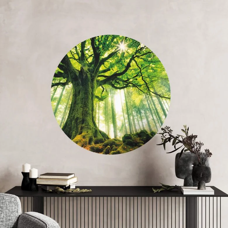 wall-art-1442266