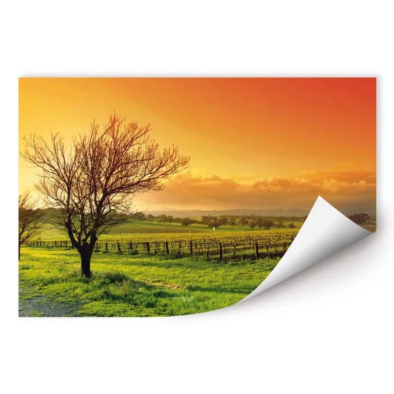 wall-art-1442795