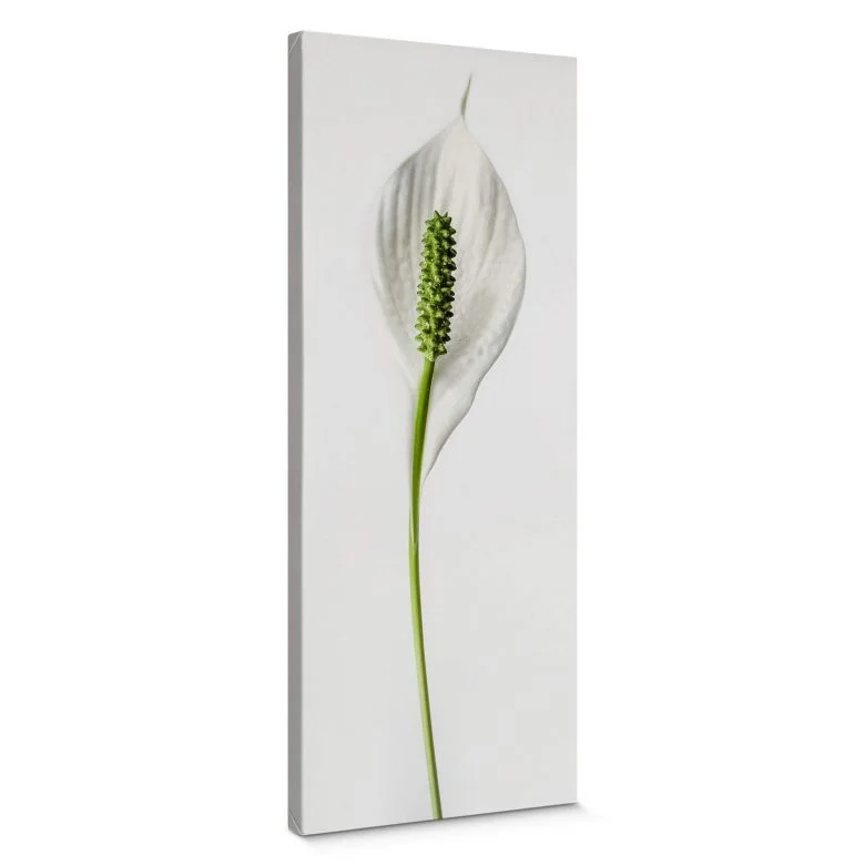 wall-art-1442925