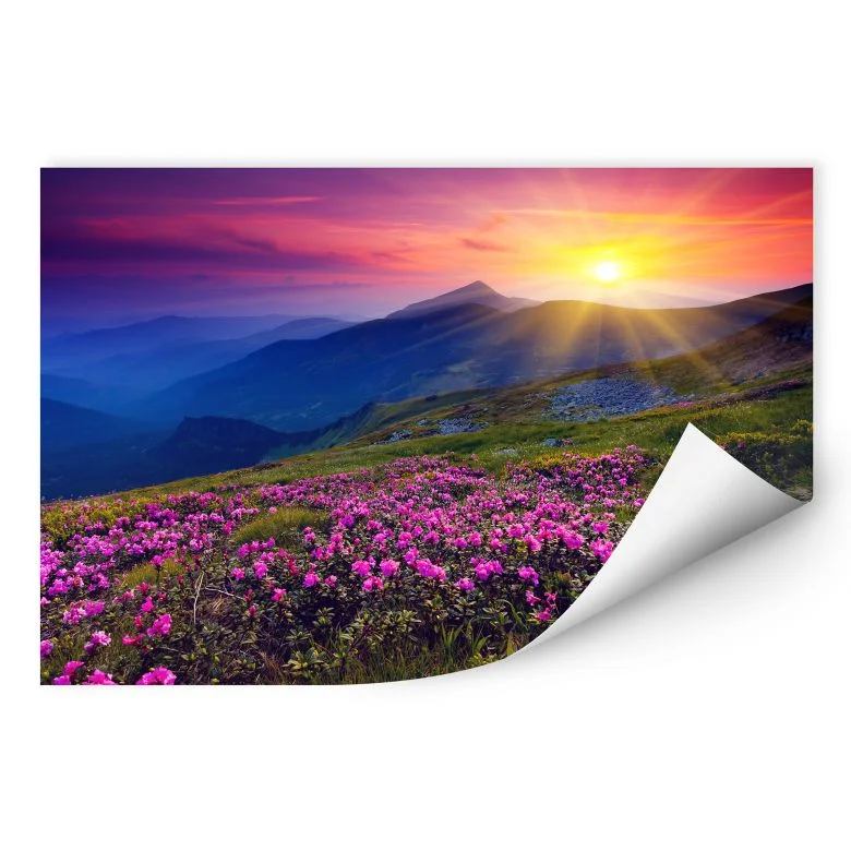 wall-art-1443346