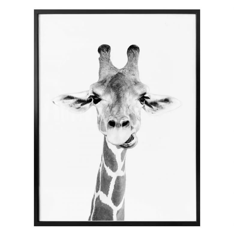 wall-art-1443749