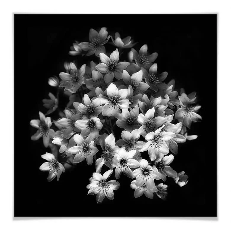 wall-art-1445257