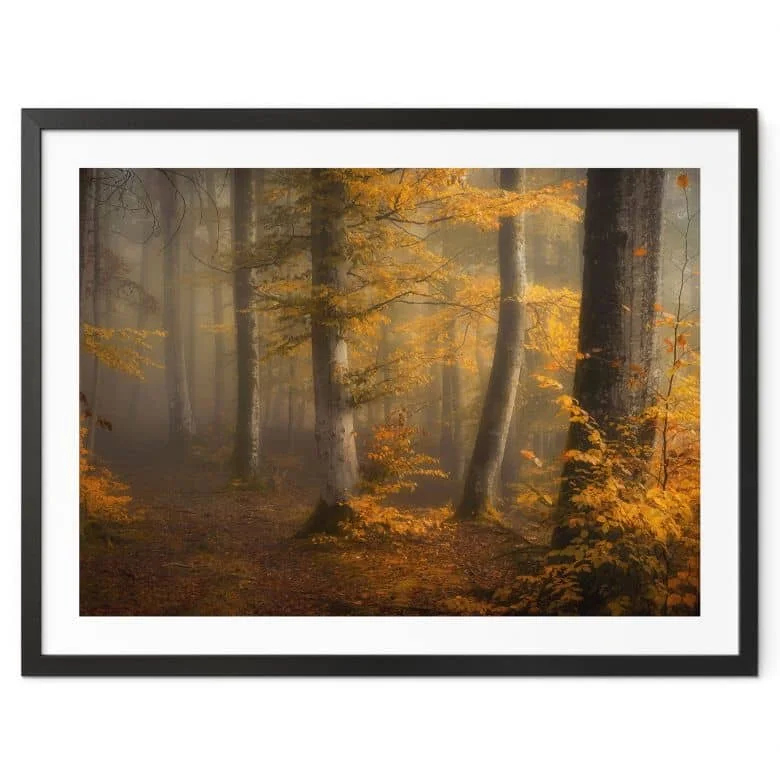 wall-art-1445905