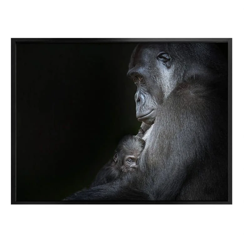 wall-art-1446178