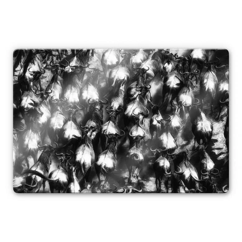 wall-art-1446501