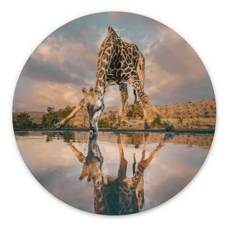 wall-art-1446792